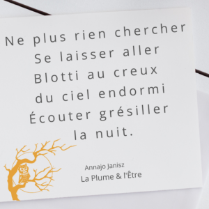 Citation éveillée de l'écrivaine et podcasteuse francophone Joa - Annajo Janisz, sur son blog d'éveil des consciences à la page de témoignage de son éveil spirituel